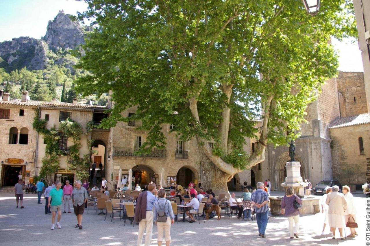 "Le Patio"-Meuble De Tourisme 3 Etoiles -Residence "Les Logis De Beziers"-Garage Optionnel-Coeur De Ville-Plages A 16Km ! Ngoại thất bức ảnh