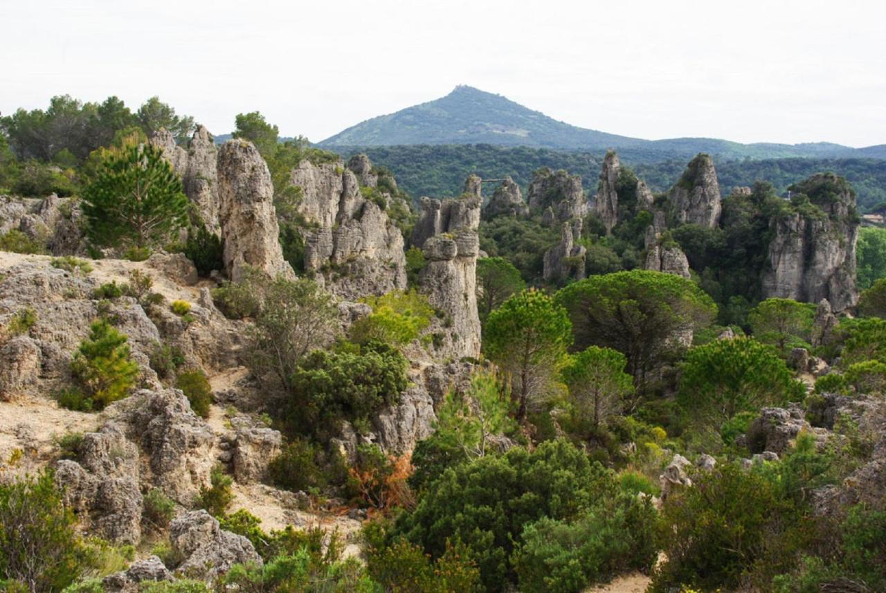"Le Patio"-Meuble De Tourisme 3 Etoiles -Residence "Les Logis De Beziers"-Garage Optionnel-Coeur De Ville-Plages A 16Km ! Ngoại thất bức ảnh